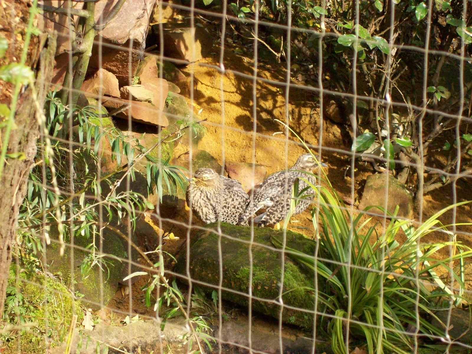Zoom 18.10.2008-058.jpg